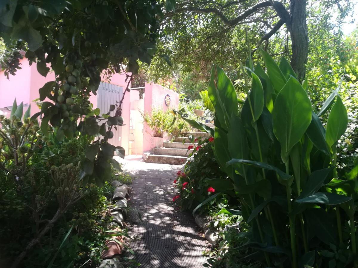 Villanova Monteleone Affitta Camere Casa Delle Rose מראה חיצוני תמונה