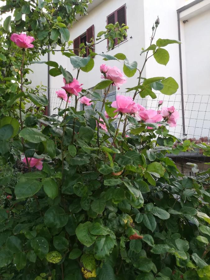 Villanova Monteleone Affitta Camere Casa Delle Rose מראה חיצוני תמונה